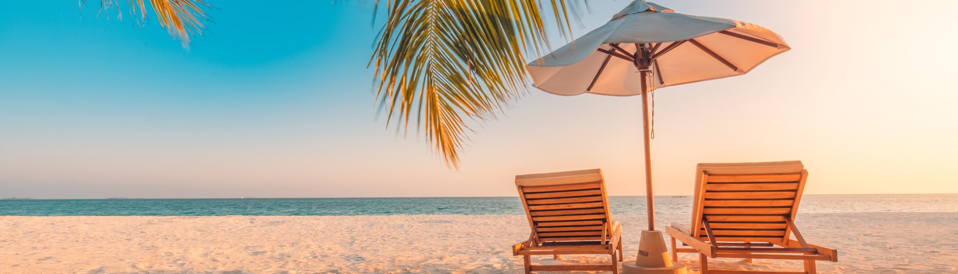 CONTATTA IL BOOKING PER INFO E PREVENTIVI